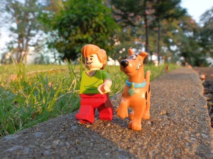 "Scooby-Doo Where are You" debuts