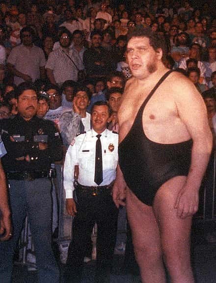 André the Giant dies at the age of 46