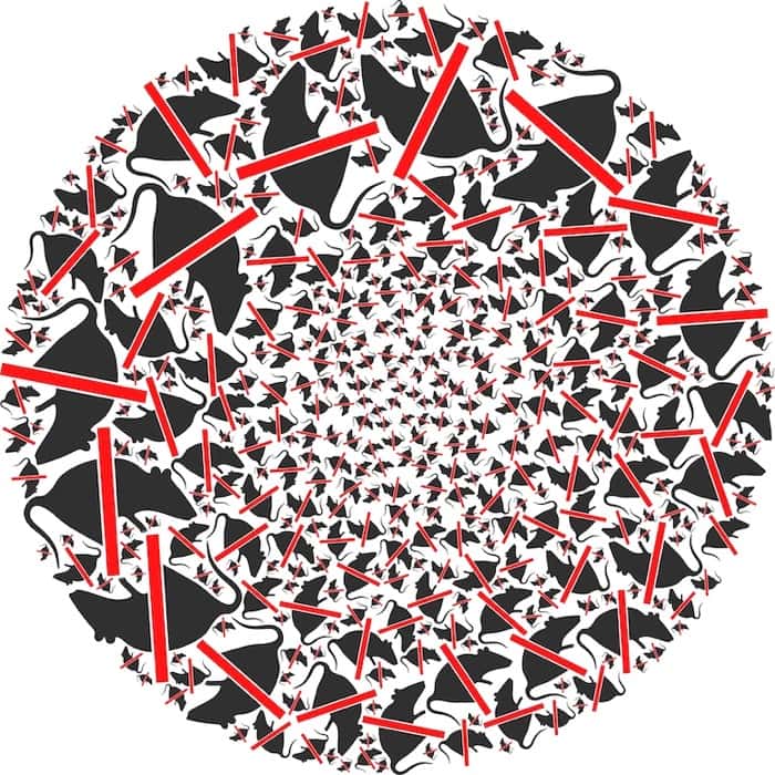 Bramble Cay melomys declared extinct thanks to climate change