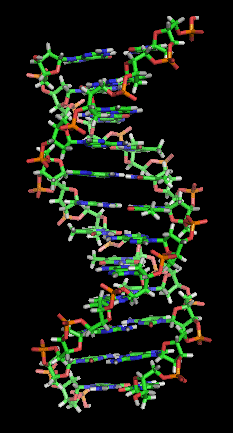 Watson and Crick Publish DNA Double Helix Discovery