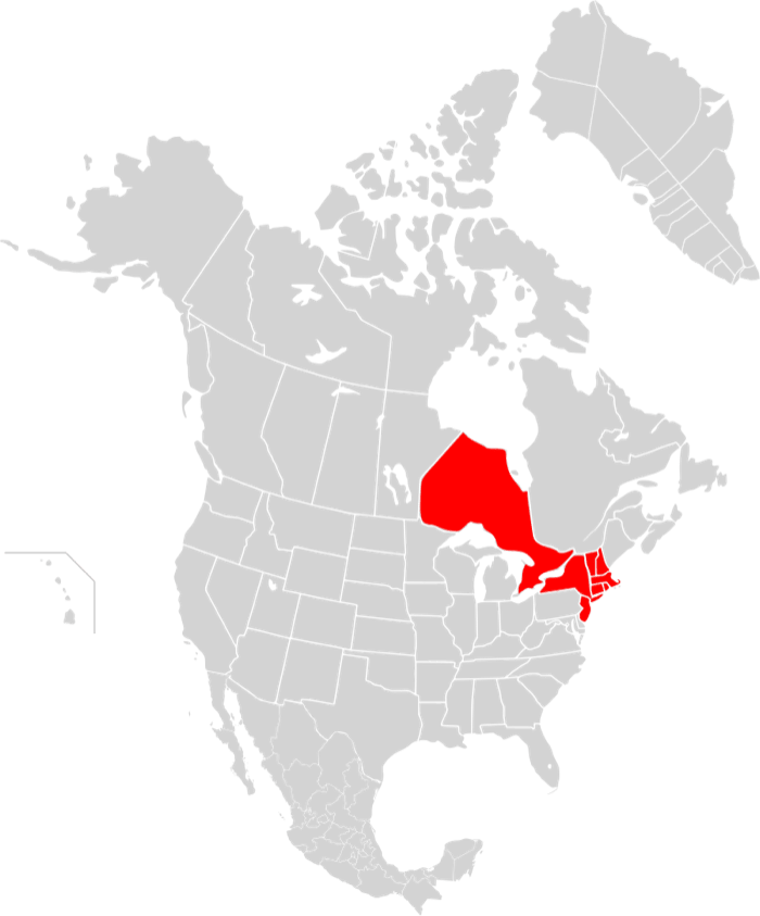 The Great Northeast Blackout